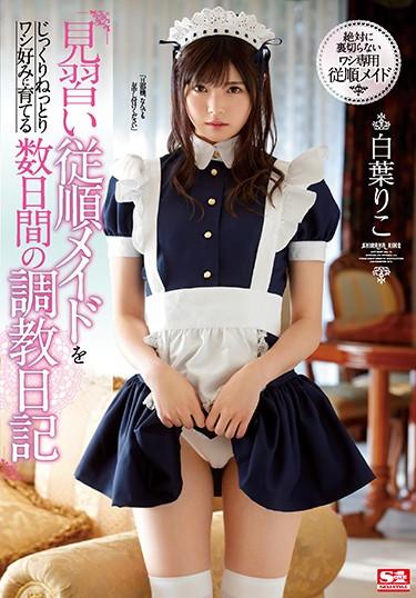 [SSNI-749] –  A Training Diary For Several Days To Grow An Apprentice Obedient Maid Slowly And Carefully To A Eagle Taste Riko ShibaShiraha RikoMaid Solowork Squirting Promiscuity Risky Mosaic