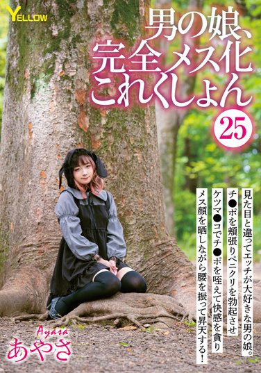 [HERY-128] Man’s Daughter, Complete Female Collection 25 Ayasa