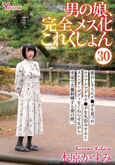 [HERY-133] Man’s Daughter, Completely Female Collection 30 Kasumi Kihara