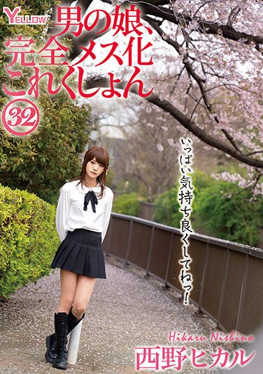 [HERY-136] Man’s Daughter, Complete Female Collection 32 Hikaru Nishino