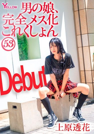 [HERY-165] Boy’s Daughter, Complete Feminization Collection 53 Uehara Touka
