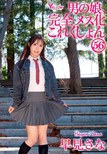 [HERY-169] Crossdressing Boys, Complete Feminization Collection 56: Sana Hayami