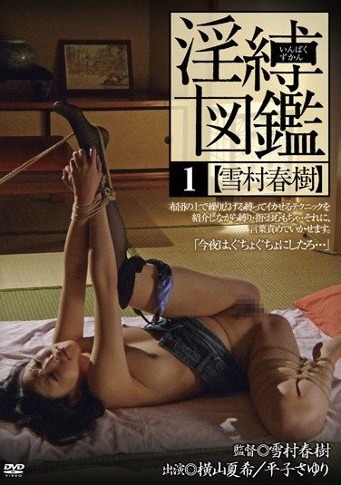 [AKHO-088] Horny Bondage Book 1 Yukimura Haruki