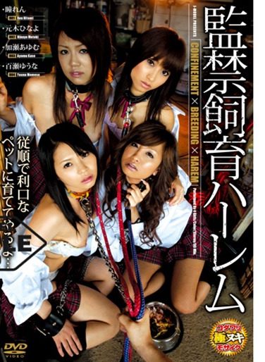 [SJML-059] Confinement Breeding Harem